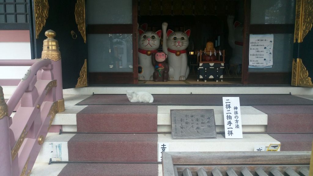 Katzen - Tempel 84
