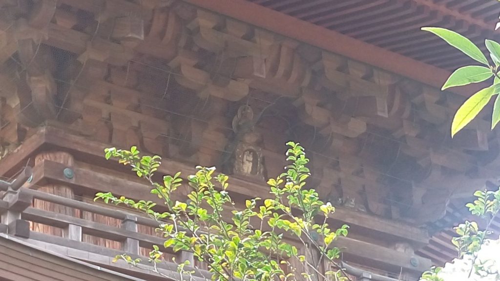 Katzen - Tempel 72