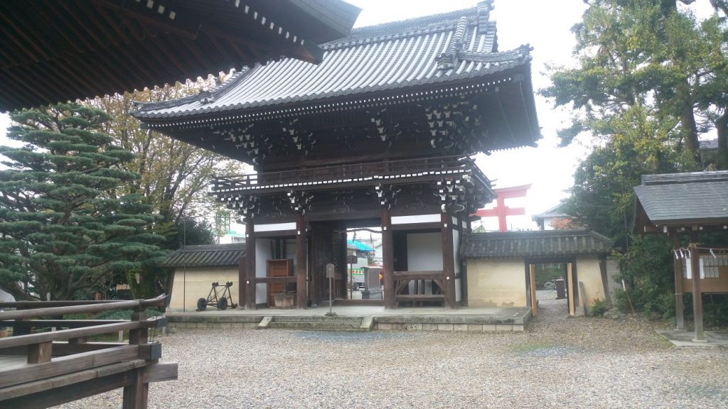 Katzen - Tempel 110