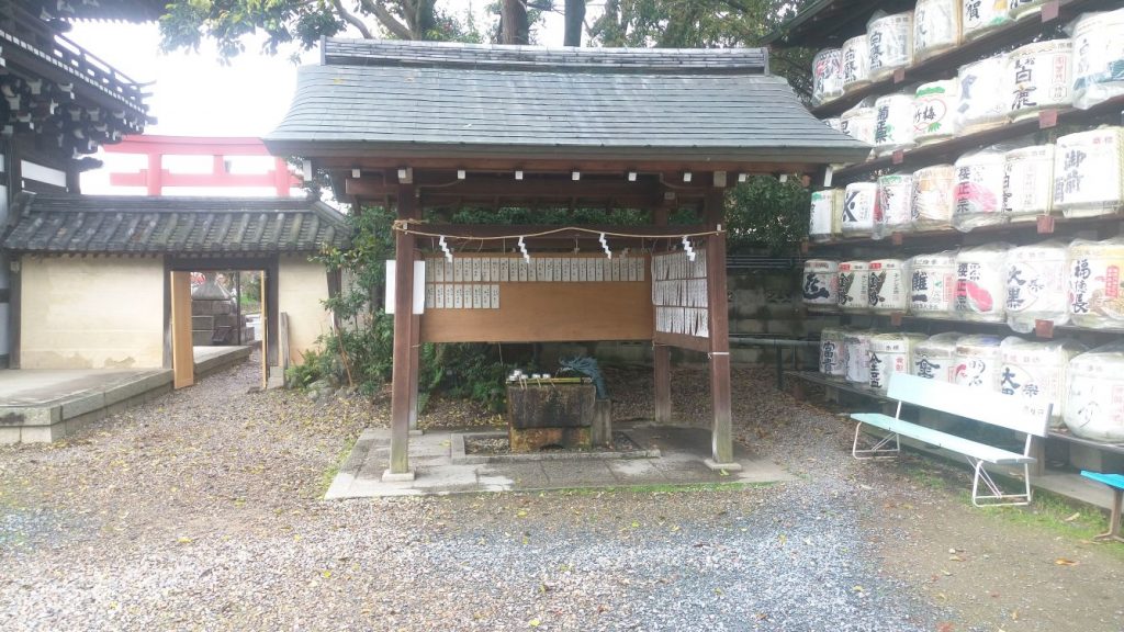 Katzen - Tempel 108