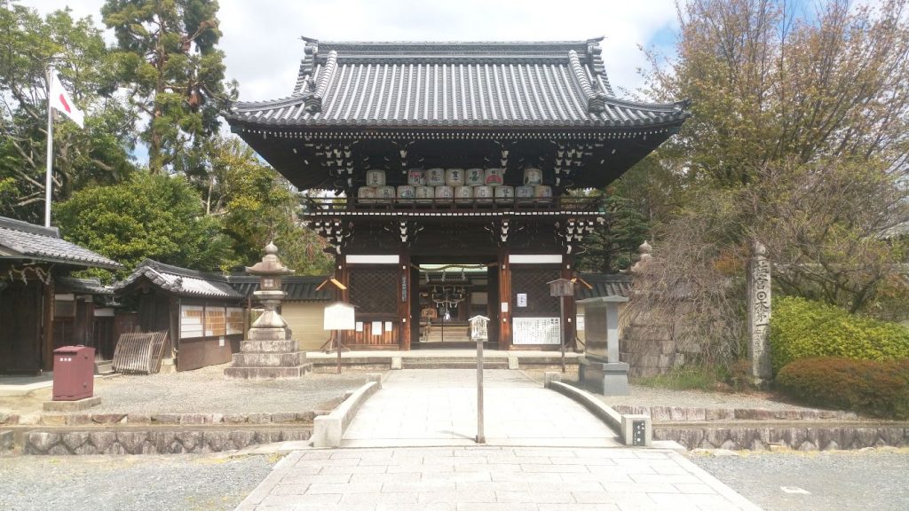 Katzen - Tempel 111