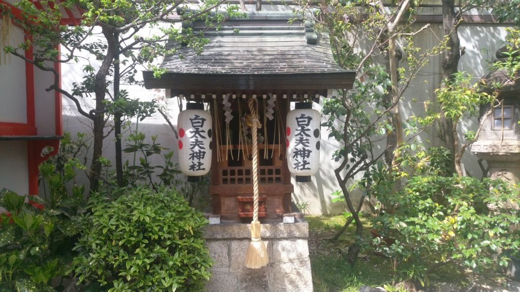 Katzen - Tempel 123