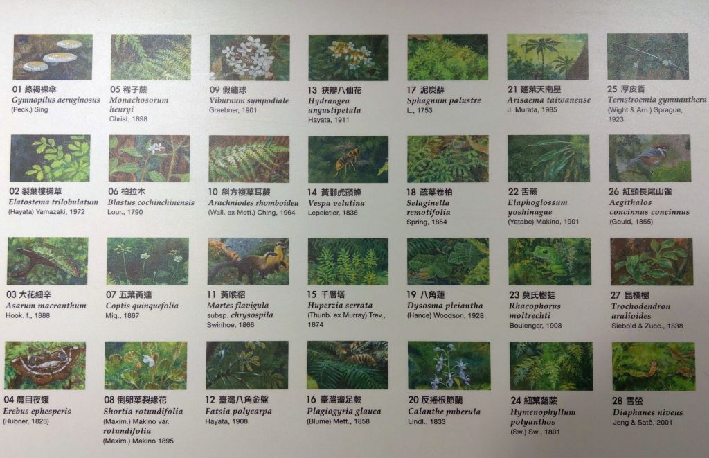Fauna und Flora von Taiwan 2