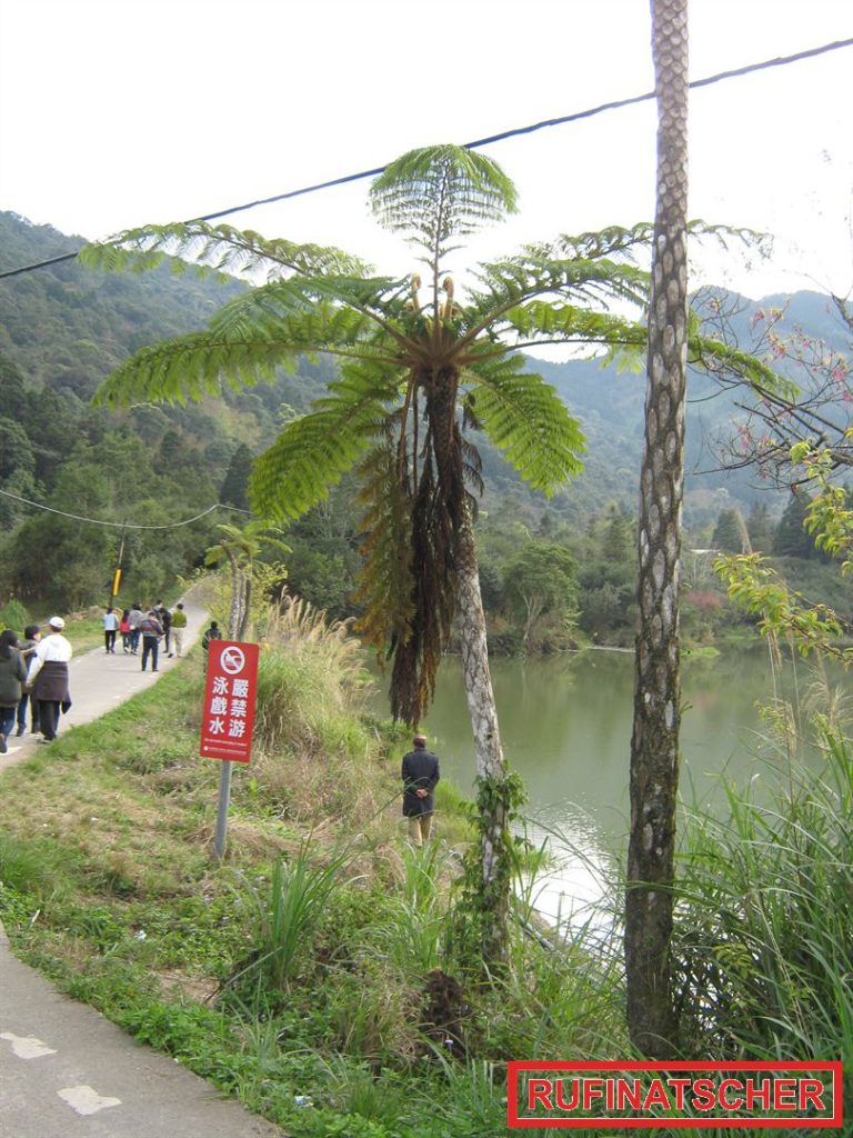 Fauna und Flora von Taiwan 36
